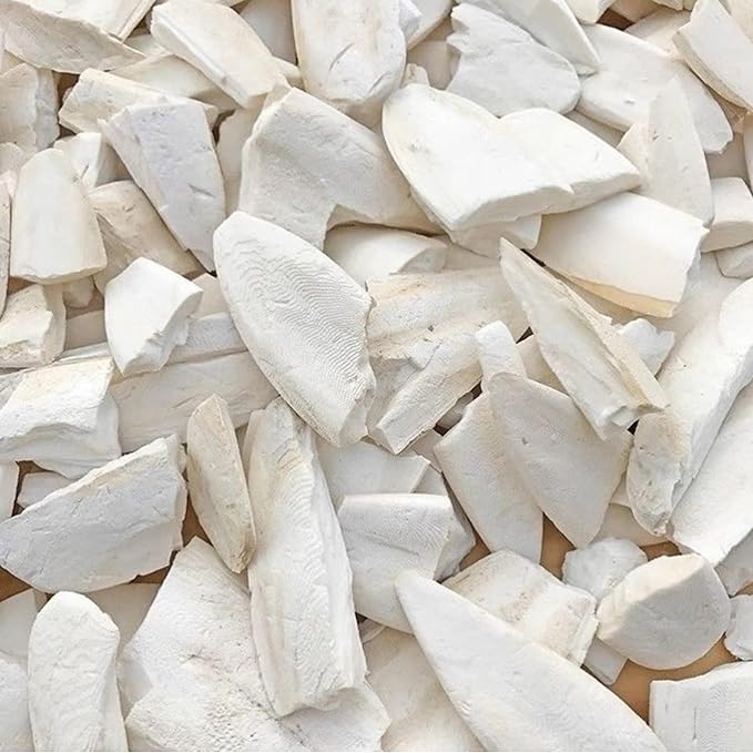 Bird Cuttlebone for Parakeets Cuttlebone for Birds - Natural Cuttlefish Bone Bulk Chew Toy Bird Bites Calcium Stone for Canaries Tortoises,Snails,Reptiles,Parrots,Cockatiel