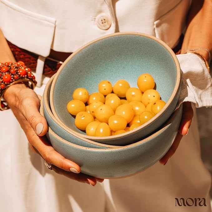 MORA Small Bowls Set of 4, 16oz Ceramic Pottery Dessert Bowls - Microwave, Oven and Dishwasher Safe - Iris