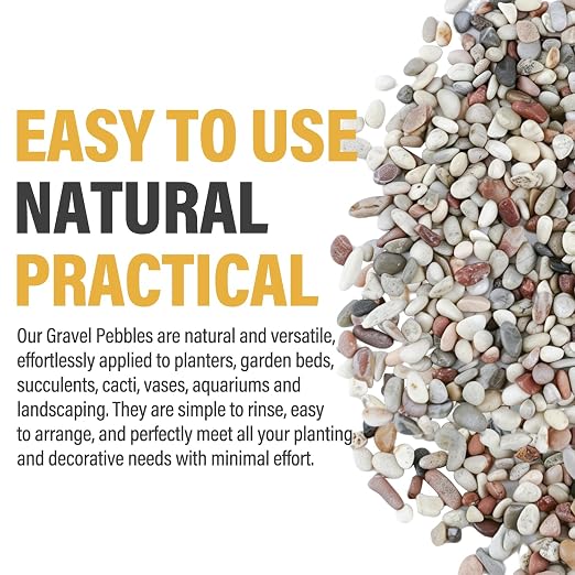18lb Succulent and Cactus Gravel Pebbles, 1/5 Inch Mixed Color Natural Rocks for Fish Tank, Indoor Plants, Aquarium, Vases, Landscaping