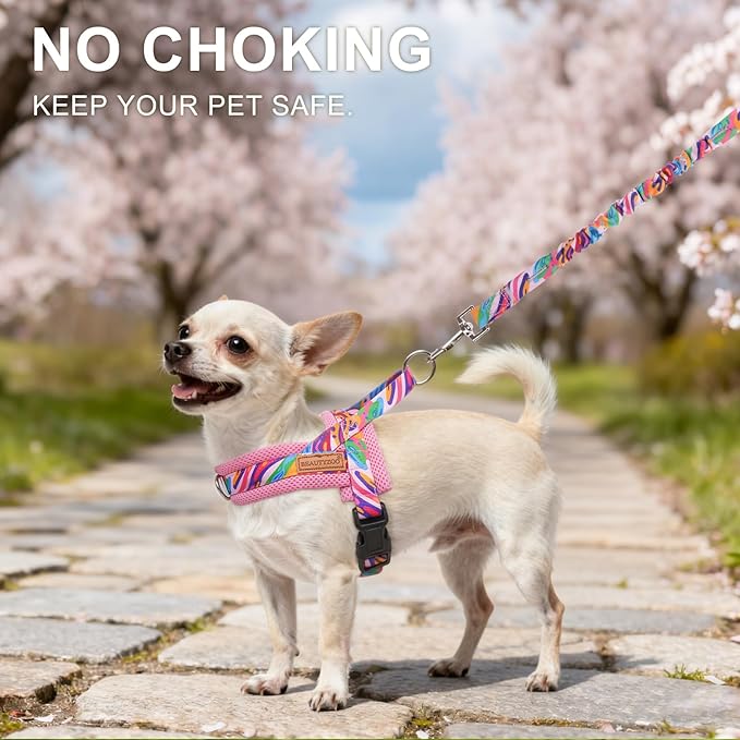 BEAUTYZOO Dog Harness for Small Dogs,No Pull Dog Harness and Leash Set,Soft Breathable Escape Proof Puppy Vest Harnessss with Handle,Lightweight Quick Fit Harness for Girl Boy Dogs Training Walking,S