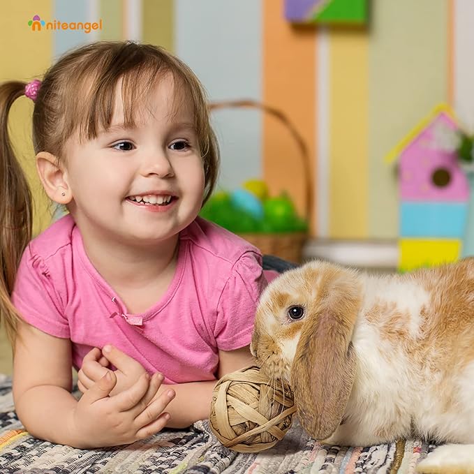 Niteangel Natural Chew Activity Toys Fun Safe Hay Grass Pet Balls for Chinchilla Guinea Pig Rats Rabbits Hamster Gerbil Degu Bunny and Other Small Animals