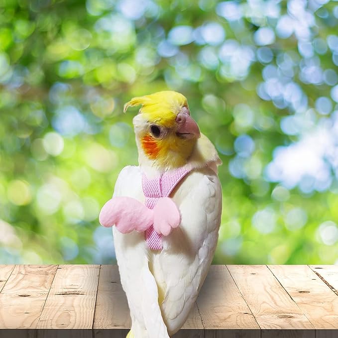 Birds Harness Leash Outdoor Flying Escape-Proof Adjustable Training Design Anti-Bite Bird Rope with Cute Wing for Parrots Scarlet Keck Mini Macaw Love Birds (Pink)