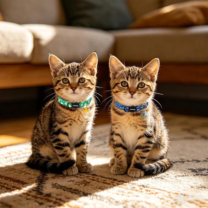 2 Pack Summer Duck Kitten Collar Breakaway with Bell, Adjustable Fish Cat Cotton Collar for Girl Boy Cat and Small Pet，Adjustable Kitten Collar 7-12 Inch