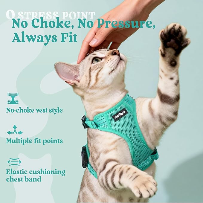 rabbitgoo Cat Harness and Leash, Escape Proof Vest with 3 Adjustable Buckles, Soft Comfortable Kitten Harness, Easy to Wear, Reflective for Safe Outdoor Walking, Medium, Green
