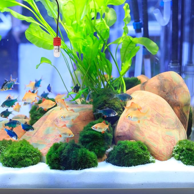 NUOBESTY Betta Fish Tank Heater Robust and Lasting with Adjustable Quartz Tube and Dual Temperature Display, Mini Aquarium Heater for 4l Tropical Fish and Turtle Habitats