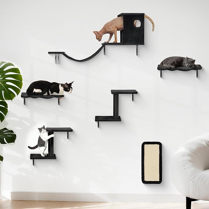 Meecal 6-in-1 Cat Wall Shelves, Wall-Mounted Cat Furniture for Indoor Kittens, Modern Floating Shelves with Scratching Posts, Bed, Perch, Bridge, Condo, Steps and Scratcher, Space-Saving Gym, Black