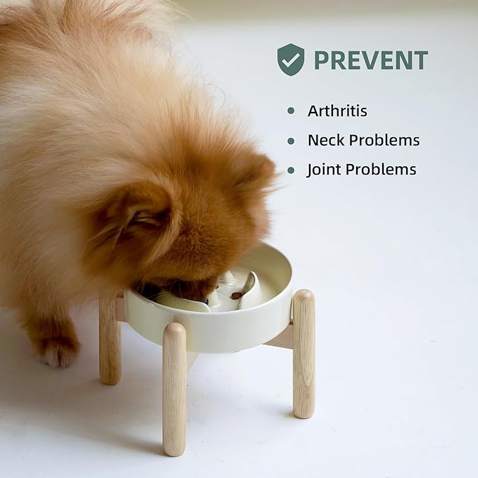 Havniva Ceramic 0.9 Cup Raised Dog Slow Feeder Set, Elevated Bowl with Wooden Stand for Small Dog and Cat, 6.1inch Puzzle Slow Dog Food Dish, Anti-Gulping(Light Yellow, Single Bowl+ Stand)