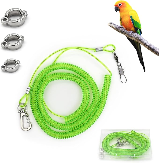 Parrot Flying Leash, 16.4 ft Training Rope with 3 Size Bird Foot Ring, Anti-Bite Elastic String for Cockatiels, Birds, Pigeon (Green)