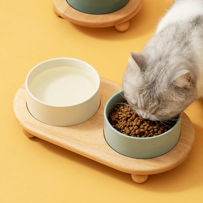 Havniva Raised Cat Water Bowl 5.1” Elevated Ceramic Cat Food and Water Bowl Whisker Friendly Pet Water Bowls for Indoor Cats, Wide Kitten Dish Relieve Whisker Fatigue Non Slip Cat Feeder