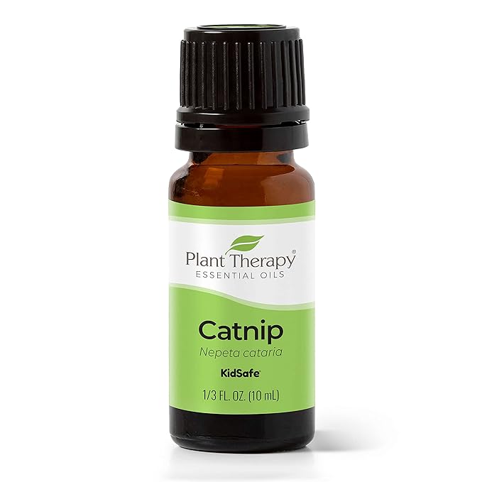 Plant Therapy Catnip Essential Oil 10 mL (1/3 oz), 100% Pure, Undiluted, Natural Aromatherapy, for Out Door Activities, Respiratory Support, and Digestive Relief