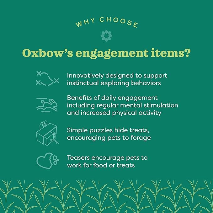 Oxbow Enriched Life Play Wall, Rabbit & Guinea Pig Toy, Enrichment for Bunny, Guinea Pig, Hamster, Rabbit, Chinchilla, Rat, Chinchilla Cage Accessories, Bunny Accessories for Cage, Small