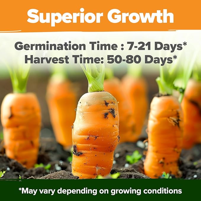 HOME GROWN Rainbow Carrot Seeds 10 Variety Mix 3350+ Heirloom Non-GMO Seeds for Planting, High Germination, Multi-Color Gourmet Root Vegetables, Kids Garden, Crunchy Fresh Eating (Daucus carota)