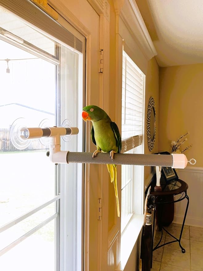Polly's Portable Window-Shower Perch with Suction Cups for Cockatiels, Macaws, African Greys (Deluxe, Large)