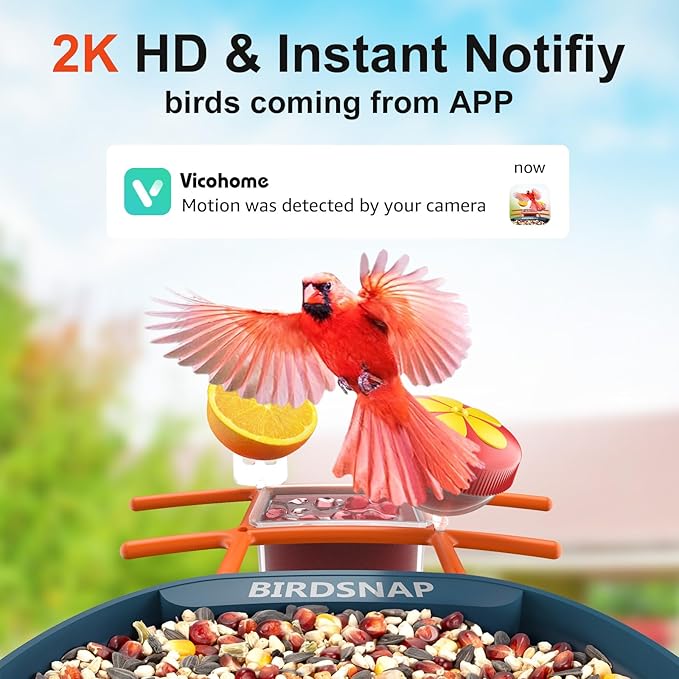birdsnap® PAV-Bird Feeder with Camera,2K HD with 64GB Card, AI Identify Smart Bird House Cam Solar Panel,Live Stream,Motion Detection,Auto Record Video for Backyard Outdoors,Ideal Gift for Bird Lover