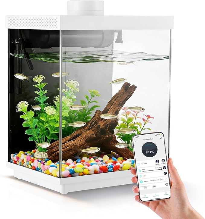 Smart 3.5 Gallon Glass Fish Tank, Aquarium Kit with APP Control and Auto Feeder, Temperature Display, RGB Color Light 3-in-1 Quiet Pump with Filter for Home, Office Corner