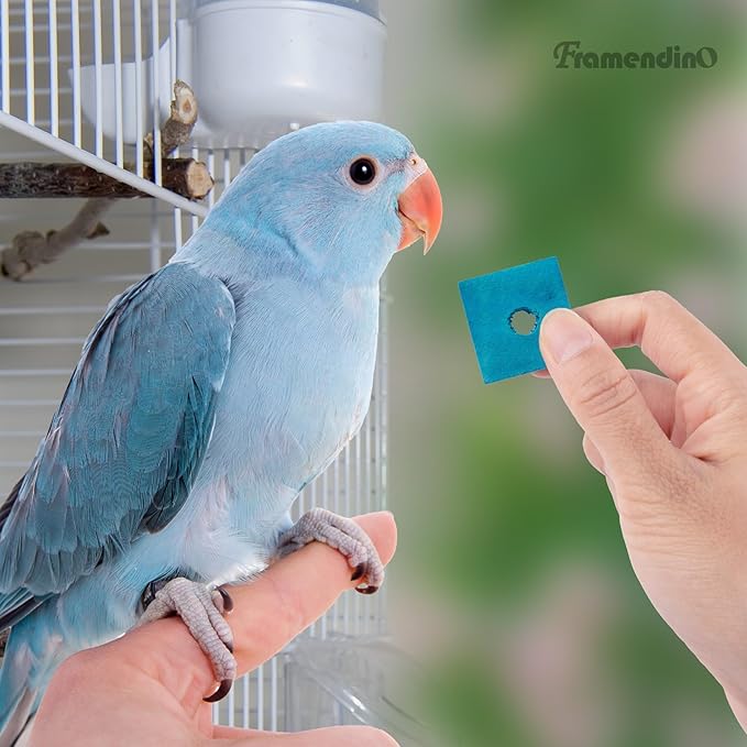 Framendino, 80 Pack Bird Play Parts Wooden Blocks, Parrot Chewing DIY Wood Slices for DIY Playing Shredding