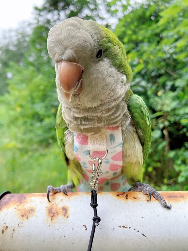 Bird Diaper Harness Flight Suit Clothes, Parrot Flight Suit with Leash, Bird Flying Clothes with Rope and Handle for Outdoor Activities Training (Pink Without Leash,Large)