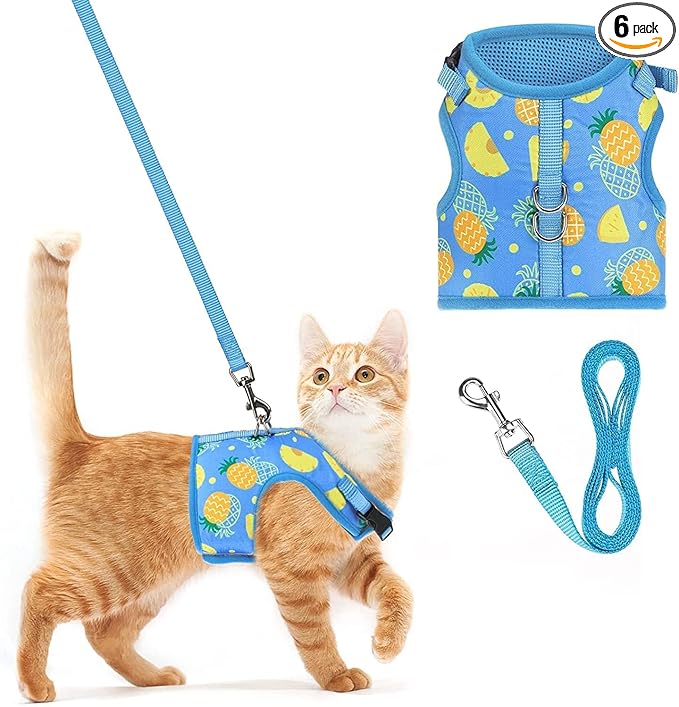PUPTECK Soft Mesh Cat Vest Harness and Leash Set Puppy Padded Pet Harnesses Escape Proof for Cats Small Dogs Rabbits Bunny