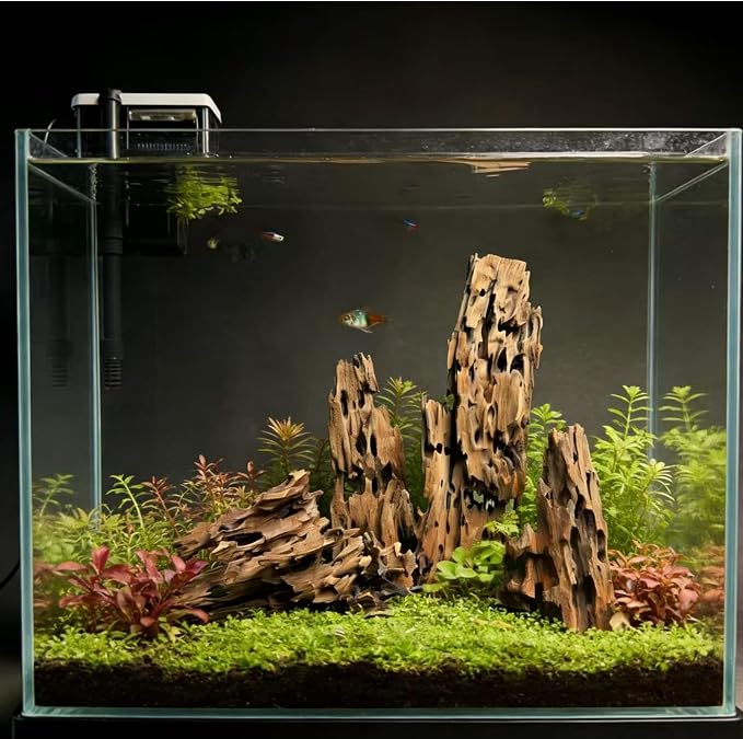 4 Pcs Natural Aquarium Driftwood Shrimp Wood, 3.94-5.91" (10-15cm) Assorted Branches & Trunk, Terrarium Ornament & Habitat Decor for Fish, Shrimp and Reptiles