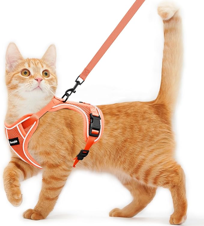 Cat Harness and Leash for Walking Escape Proof Soft Adjustable Cat Leash Breathable Comfortable Vest Easy to Wear Kitten Harness for Outdoor Travel (Orange, M (13-18lb))