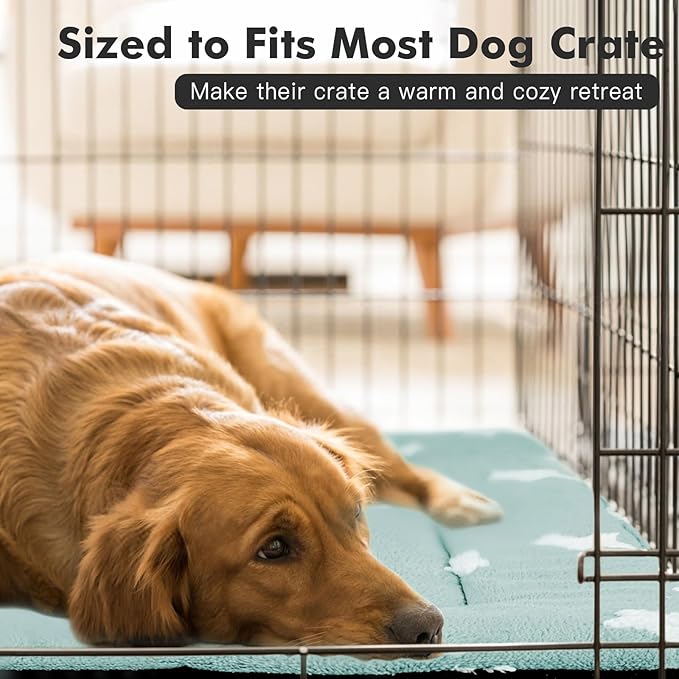 Mora Pets Dog Crate Pad Crate Bed Mat Small Dog Bed Washable Cute Star Pet Kennel Bed for Dog Cage Ultra Soft Flat Puppy Cat Kitten Pillow for Sleeping Anti-Slip Blue 24 x 18 inch 2 Pack