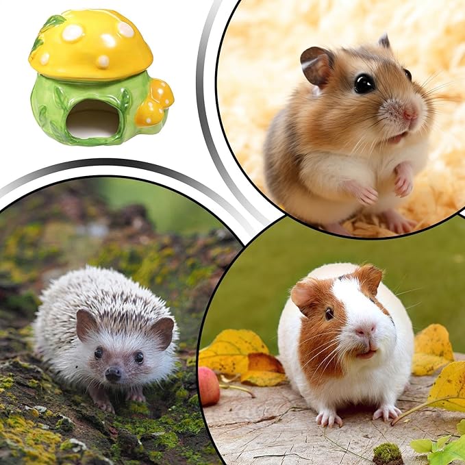 Hamster Hut - 12cm Small Animal Ceramic Hideout Cooling Porcelain Durable Critter Cabin | Burrow Sanctuary for Mice Gerbils Pet Ferret Chinc