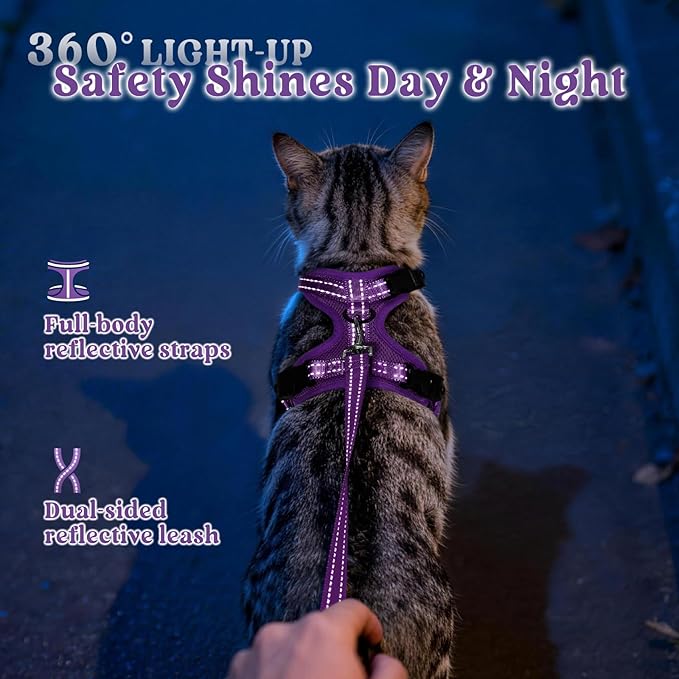 rabbitgoo Cat Harness and Leash, Escape Proof Vest with 3 Adjustable Buckles, Soft Comfortable Kitten Harness, Easy to Wear, Reflective for Safe Outdoor Walking, Medium, Purple