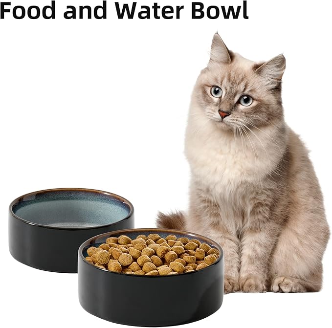 Havniva Cat Water Bowl Set of Two, 5.1” Ceramic Cat Food and Water Bowl Whisker Friendly Pet Water Bowls for Indoor Cats, Wide Kitten Dish Relieve Whisker Fatigue Non Slip Cat Feeder