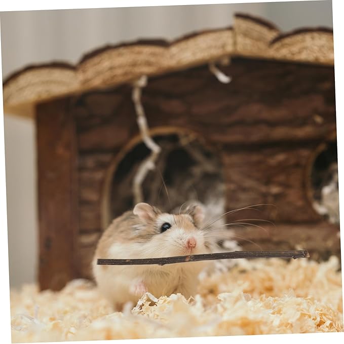 Yardwe 200G Apple Branch Chew Stick for Hamsters Rabbits Pets Interactive Teeth Grinding for Health Fun Natural Wooden Molar Stick