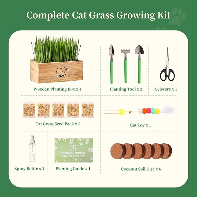 Cat Grass Kit for Indoor Cats - 5 Harvests Wheatgrass Growing Kit with Wooden Planter, Includes 6 Soil Disks, Spray Bottle, Tools & Scissors - Natural Hairball Control for Nipping & Nibbling