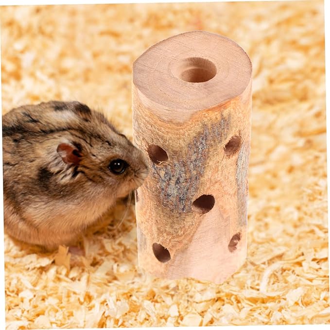 BESPORTBLE 3Pcs Apple Wood Chew Sticks for Animals Natural Teething for Hamsters Guinea Pigs Rabbits Chinchillas Durable Molar Treats for Healthy Teeth and Digestion