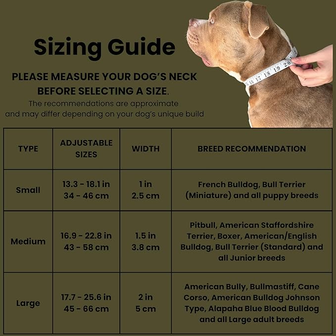 Heavy Duty Dog Collar, Tactical Dog Collar, Dog Collars for Medium Dogs, Waterproof Dog Collar, Dog Training Collar, Quick-Release Metal Buckle, Adjustable Sizes – BULLYBREED (Olive Green, Medium)