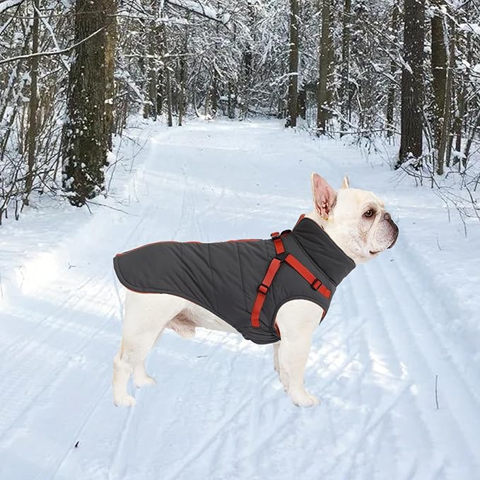 Geyecete Winter Warm Coat Waterproof Dog Winter Jacket with Harness Traction Belt,Windproof Pet Outdoor Jacket-Gray-XL