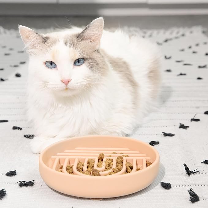 Should We Go? Slow Feeder for Dogs & Cats, The Slowdown Bowl Silicone Slow Eating Mealtime Solution with Modern Lick Mat Design, Reduces Gulping, Fits 1 Cup, 6” Across x 1.25” Tall, Small-Blush
