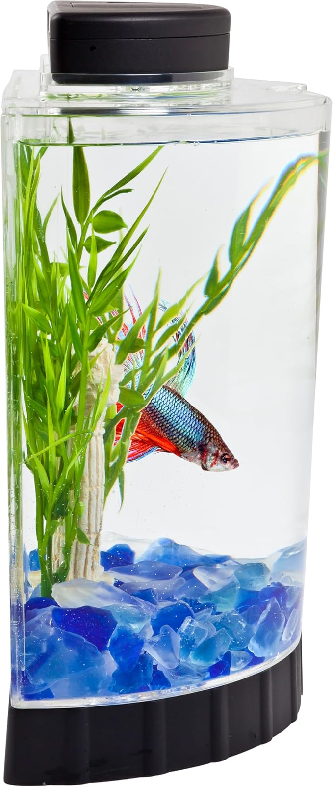 Tetra LED Half Moon Aquarium Kit, 1.1 Gallons, Small, Clear Plastic Fish Tank With Curved Front, Easy Feeding And Movable, Energy-Efficient LEDs Ideal For Bettas Great As Desk Aquarium