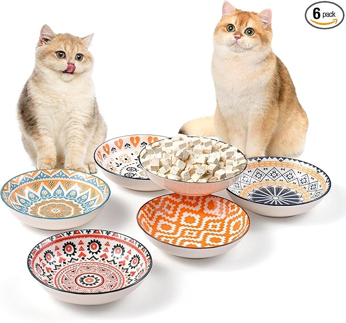 YEAHGO Cat Bowls Ceramic Cat Food Bowl for Indoor Cats and Kittens, 5.5" Anti Whisker Fatigue Cats Dishes, Shallow Wide Plates Cute Pet Feeding Bowls for Food and Water,6 Pack