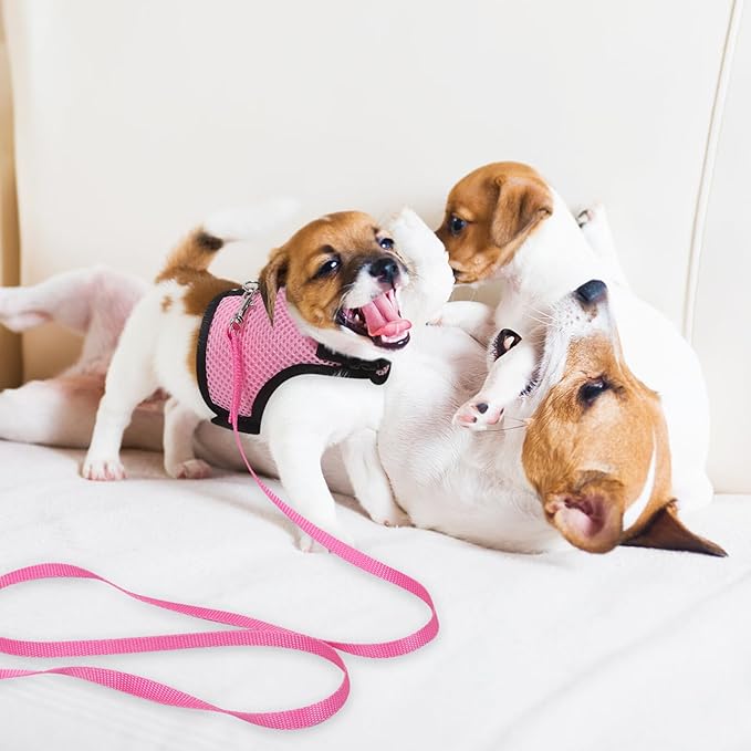 YARNOW 2pcs Adjustable Small Pet Harness Leash Set for Rabbits and Guinea Pigs – Breathable Mesh Vest, Medium Size, Outdoor Walking and Training Safety Gear