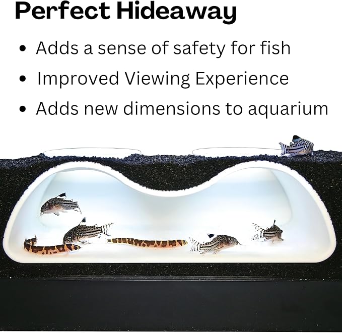 Aquarium Underground Tunnel Cave Natural Curve Two Hole | Viewing Fish & Shrimp Under Gravel Tunnel | Fish Tank Decor Decoration Hideout Perfect for Corydora Catfish, Kuhli Loach, Pleco (White)