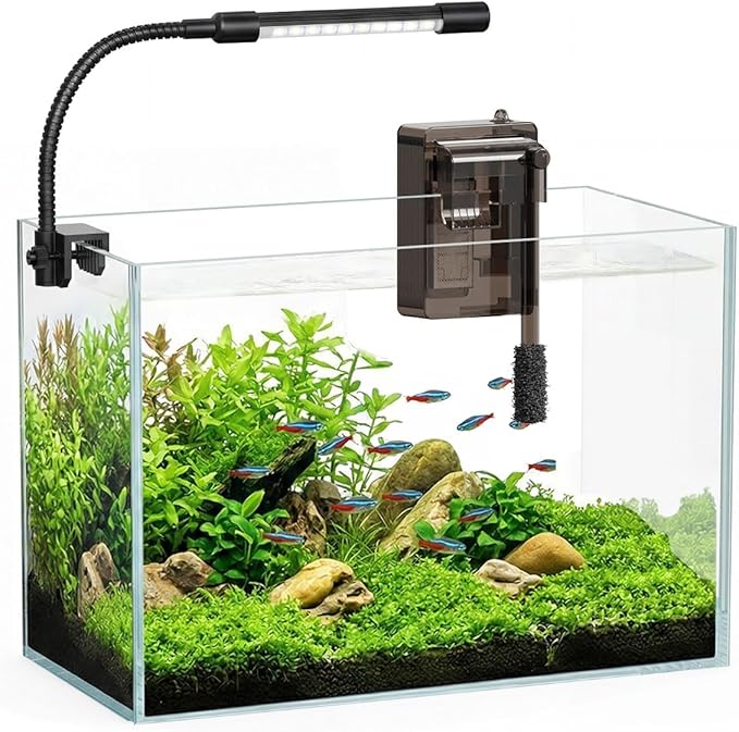Glass Fish Tank Kit, 3 Gallon Betta Fish Tank Aquarium Starter Kit with Filter, Lights, Lid, for Betta, Goldfish, Small Fish or shrimg，Clear