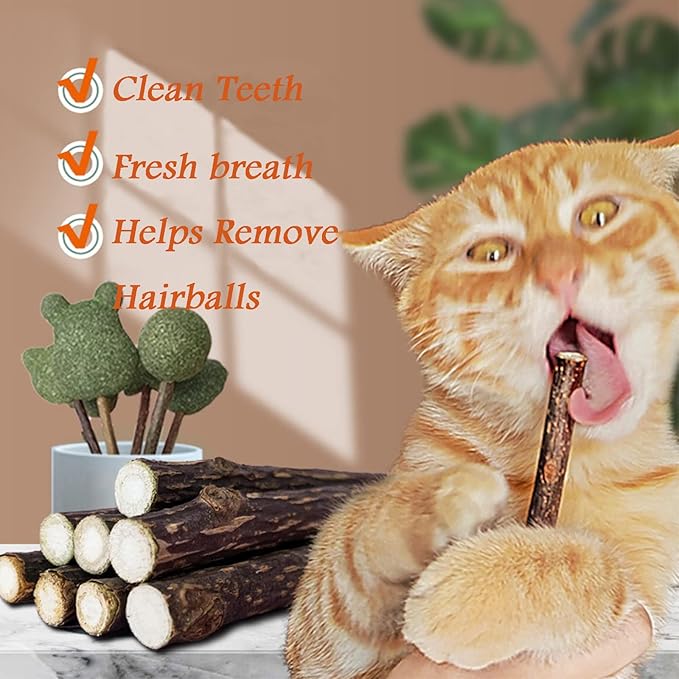 10 PCS Catnip Sticks Organic Cat Chew Toys Natural Plant Matatabi Silvervine Chew Sticks Teeth Cleaning Chew Toy Kitten Kitty