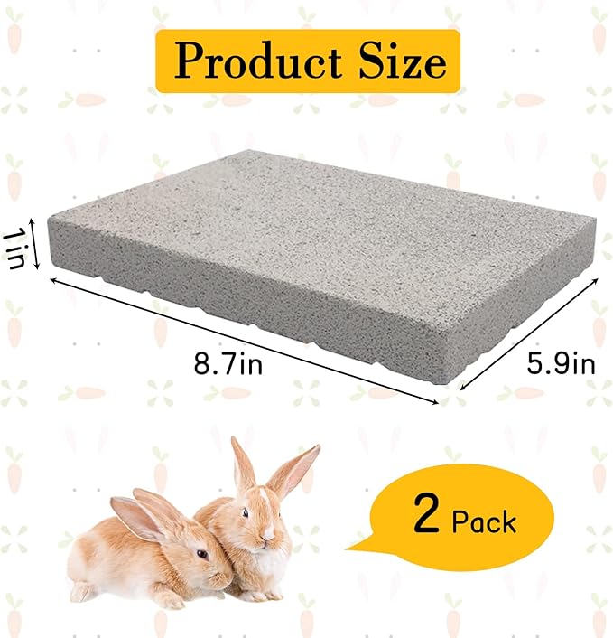 BNOSDM Chinchilla Sand Bath Container Chinchilla Dust Bath Tub Transparent Hamster Toilet Shower Room and Rabbit Grinding Claw Pads 2 Pack for Teeth Grinding for Guinea Pig Ferret Chinchilla Mouse