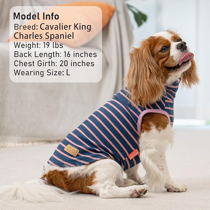 KYEESE 2Pack Dog Sweater Pullover Dog Sweaters for Small Dogs Girl Soft Dogs Clothes Stretchy Pet Sweatshirt Warm Pets Clothes Small Pets Sweaters Turtleneck Pet Coats
