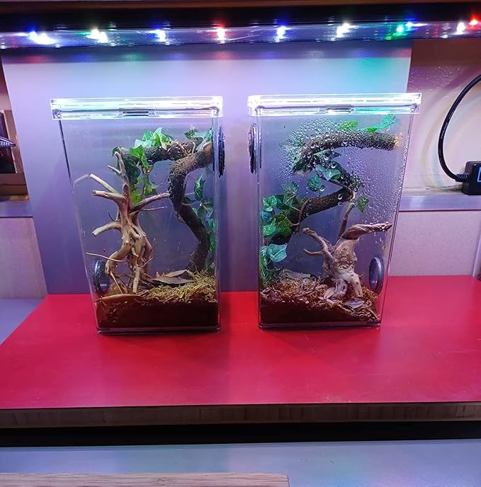 YZHZOM 8pcs Natural Small Spiderwood Driftwood for Aquarium Decor Aquarium Driftwood Freshwater Reptile Driftwood Aquarium spiderwood (spiderwood 5-6inch 8pcs)