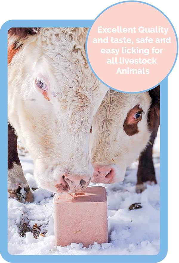 Salt Block for Deer & Horses – Compressed Mineral Salt Lick for Livestock, Cattle & Goats – Himalayan Secrets Pink Rock Salt Block (2.5LB/2KG, Block w/Mounting Hole)