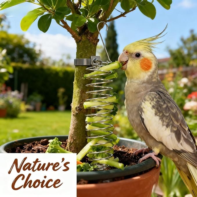 1 Pack Millet Spray Holder for Parrots, Parakeet Snack Stick Feeder, Natural Millet & Crunch Bar Station for Birds, Includes Cuttlebone and Calcium Block for Active Beak Chewing and Play Exercise
