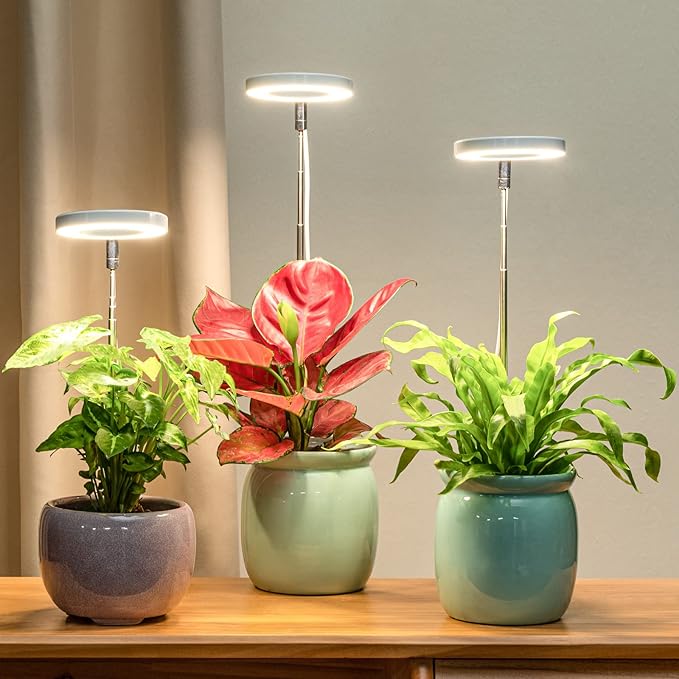 LORDEM Full Spectrum LED Grow Light for Indoor Plants, 3 Packs | Height Adjustable, Auto On/Off Timer 4/8/12H, 4 Dimmable Brightness, Ideal for Small Plants