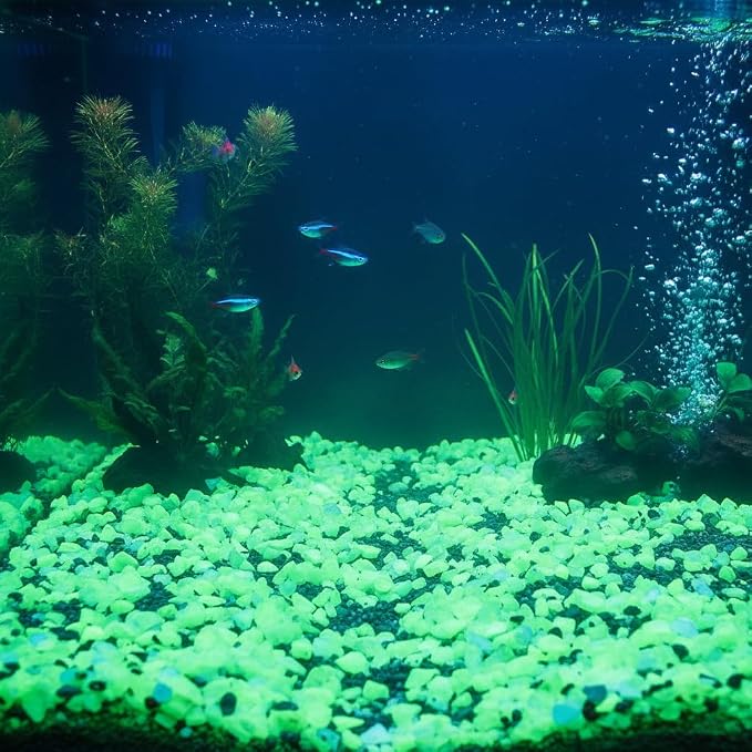 Shiny Stone Glow in The Dark Aquarium Neon Gravel Sand, Decorative Rocks for Fish Tank and Fairy Garden, Home Dec,305g/0.67lbs (Yellow Green, 5-8mm)