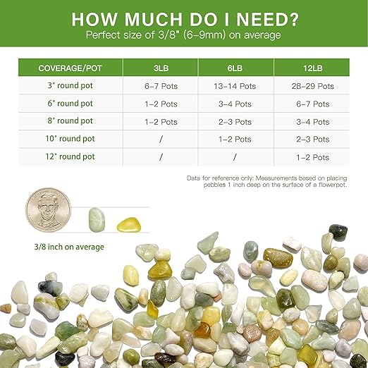 NUPICK 12 lbs Pebbles for Indoor Plants, 3/8 Inch Pea Gravel for Fish Tank, Polished Decorative Rocks for Succulent, Natural River Stones for Vases, Cactus, Landscaping, Bird Bath, Aquarium, Jade