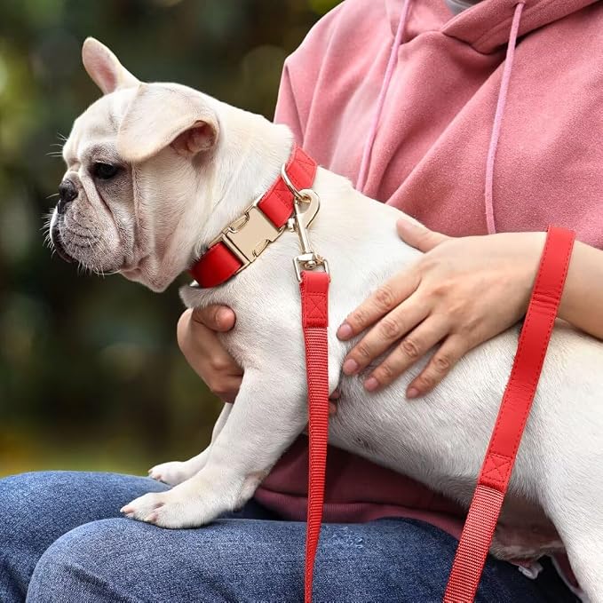 PET ARTIST Soft PU Leather Dog Collar and Leash Set, Bright & Stylish 5FT PU Leather Leash and Collar Set, Durable Pet Collars with Quick Release Metal Buckle for Large Dogs,Red,L(16-27")