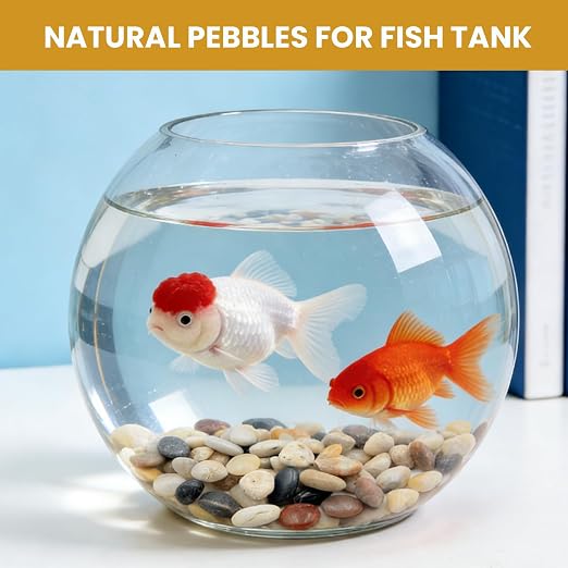 Fish Tank Gravel, 5/8 Inch Polished River Rocks Decorative Pebbles for Aquarium, Landscaping, Plant Decor & Vase Fillers,Natural Polished Stones for Fish Tank,Garden-3LB